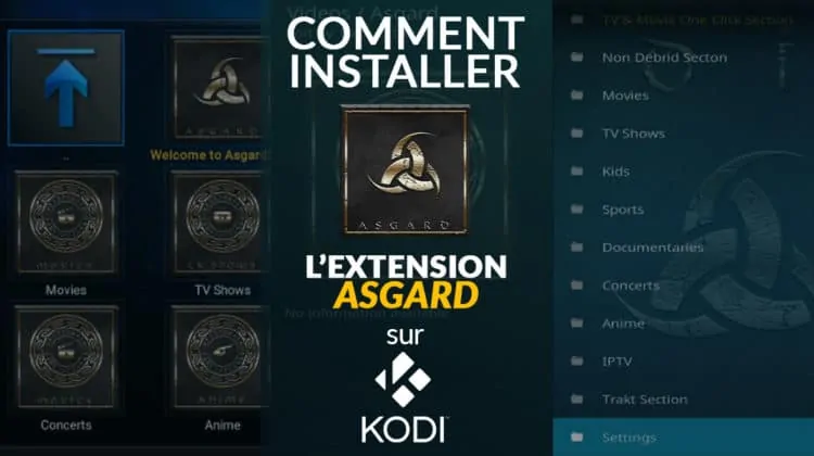 Le guide complet pour installer l'extension Asgard dans le media player Kodi