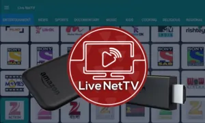 Joshua vs Parker no Live NetTV