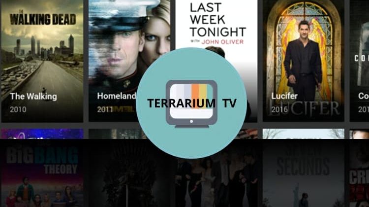 Como Instalar a App Terrarium TV num Telemóvel ou Android TV Box