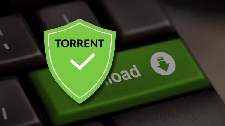 download torrent vpn