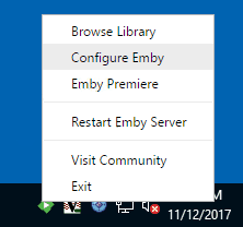 Run Emby Server as soon as Windows start