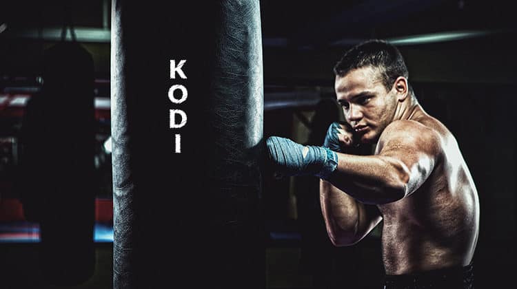 How to Watch Boxing on Kodi in 2020 for Free: live and on-demand events