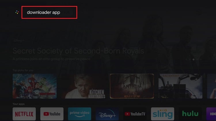searching downloader on chromecast